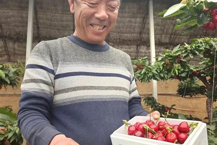 打瓜如果枝叶太过繁盛,怎么补救,因肥料滴的太勤,使打瓜长荒了