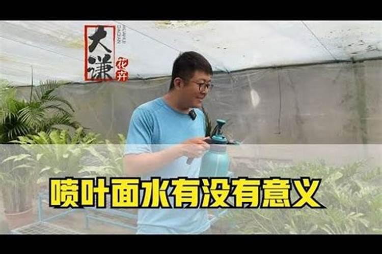 一斤白醋浇韭菜的方法