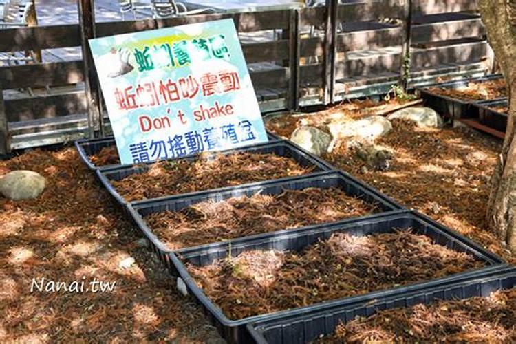 如何让杂草快速腐烂成有机肥 怎么快速让杂草变肥料