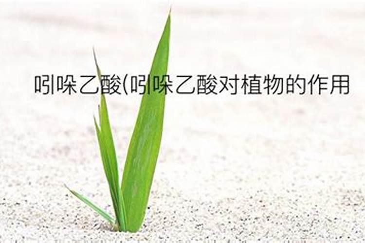 芸苔素,吲哚乙酸和赤霉酸属于水溶肥吗