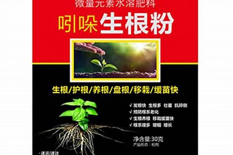 植物生根剂的使用方法
