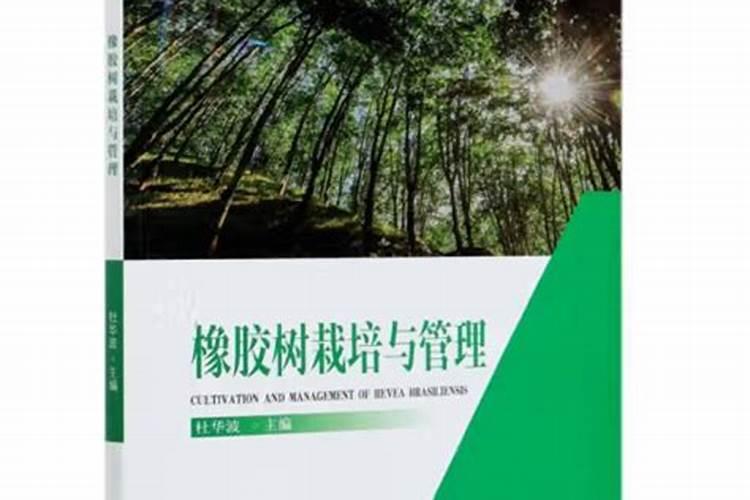 橡胶树怎么栽培？哪位知道？