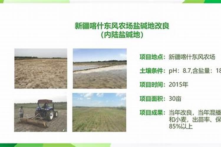 用什么菌剂可以达到土壤修复