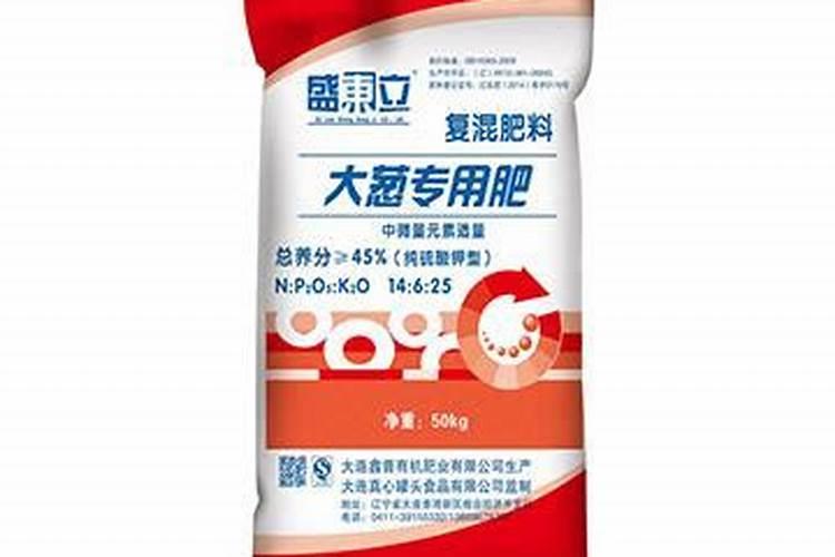 大葱育种基础技术点,种葱新手必看