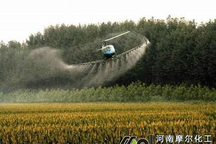 水溶肥使用时注意事项、方法与用量？