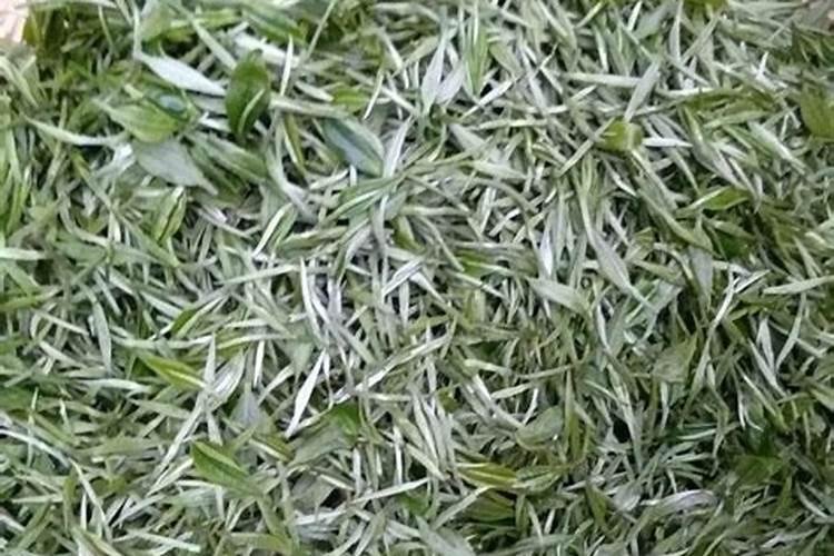 硼肥能做茶叶基肥吗？