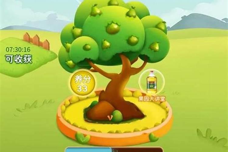 果树如何施肥
