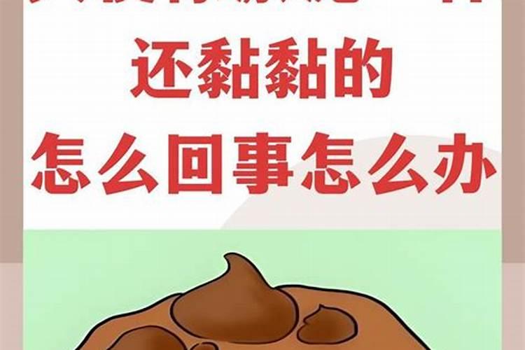 为什么狗狗大便不能做肥料