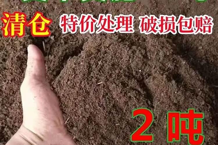 绣球花浇什么水好