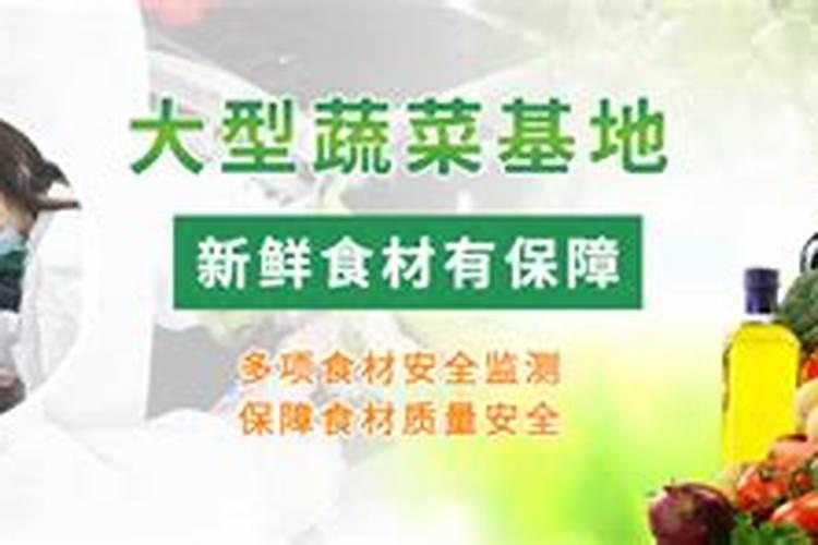 蔬菜叶面肥有哪些品种