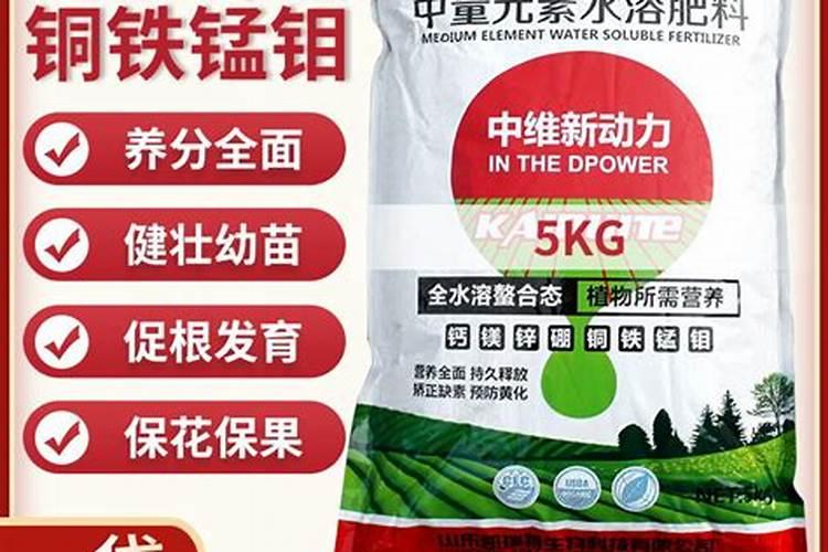 种菜用什么肥料最好