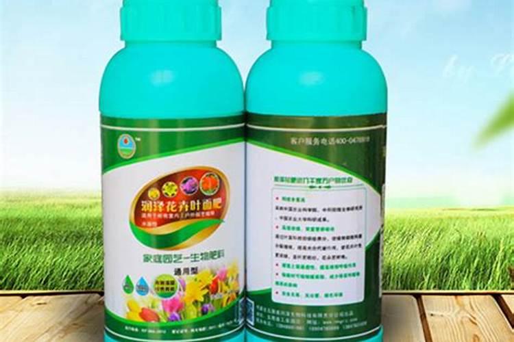 枇杷树能做佛珠手串吗