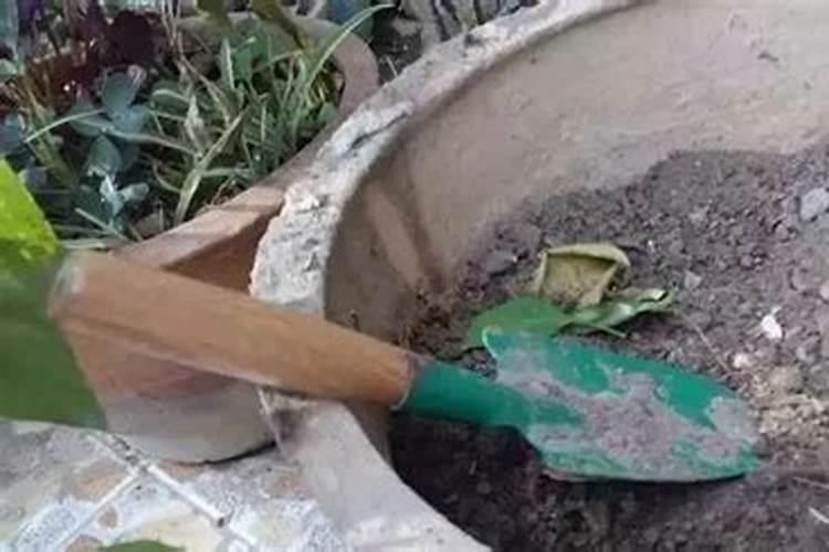 花生苗多大打除草剂好