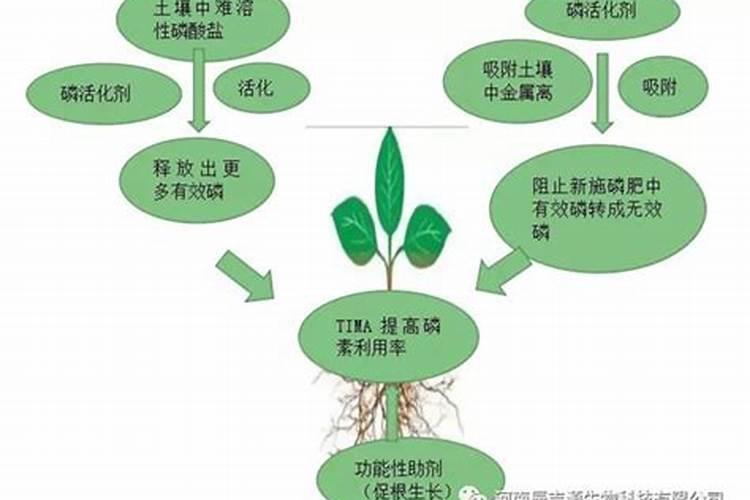 磷肥全磷和有效磷的区别