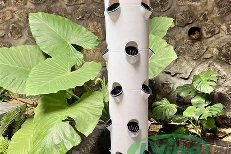 水培蔬菜时,如何正确使用硝态氮与铵态氮哪个见效快？