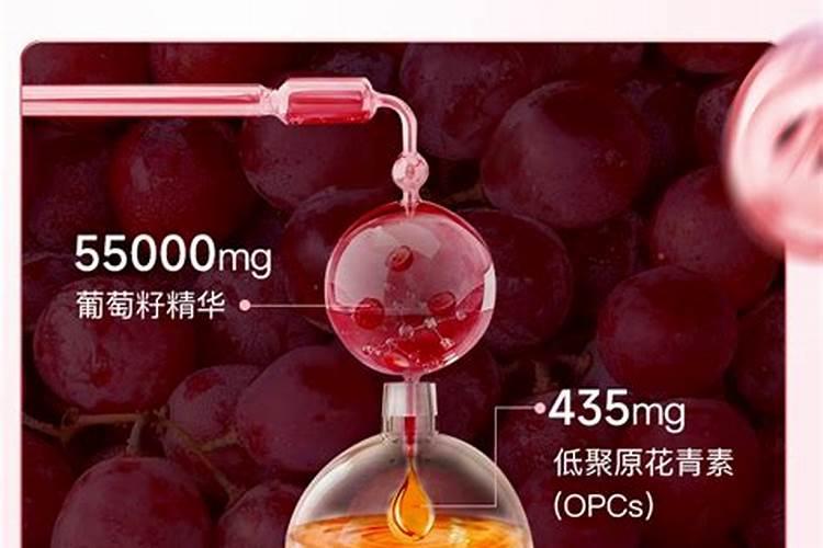 葡萄籽能发芽吗,什么时候下种