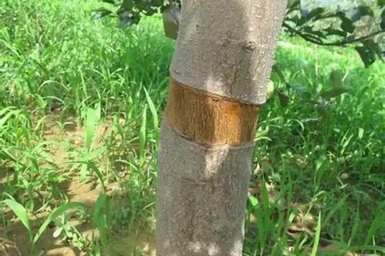 你们家那边人产量不高啥意思