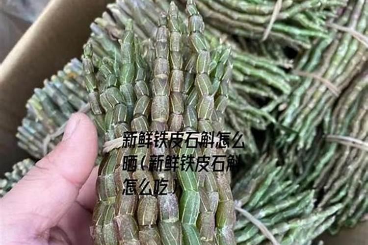 铁皮石斛用什么肥料好 怎么施肥