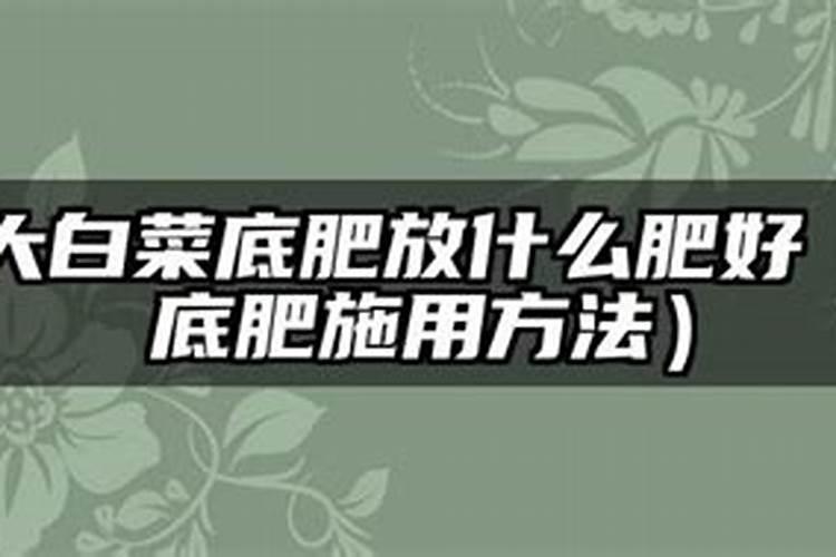 种白菜用什么底肥最好