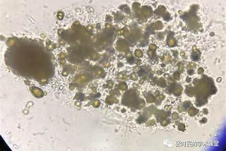 氮磷钾肥施用口诀