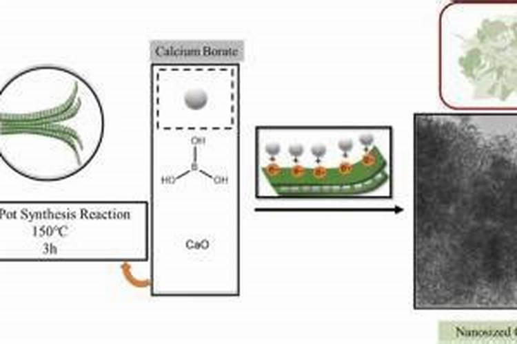 有什么好办法让大棚里的西红柿减少裂果？