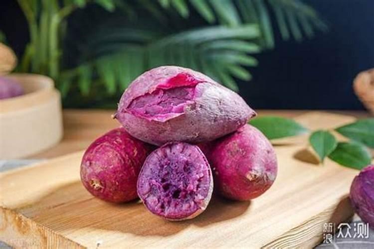 紫红薯的种植方式