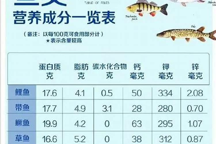 八爪鱼有营养吗