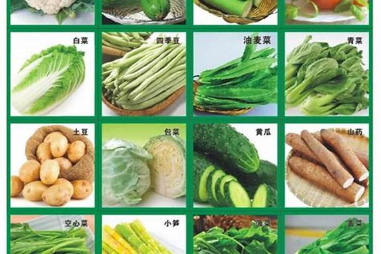 种菜用什么肥料最好