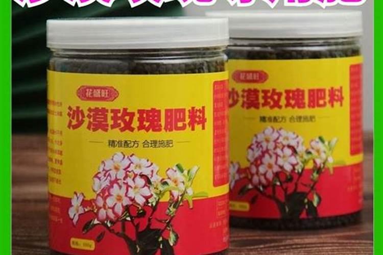 沙漠玫瑰养根施什么肥