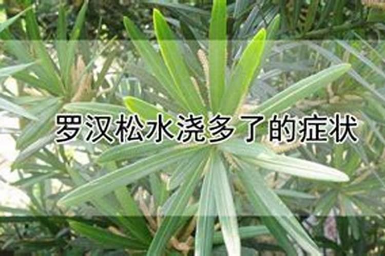 为什么不能给叶子浓度过高的钾肥原因是什么