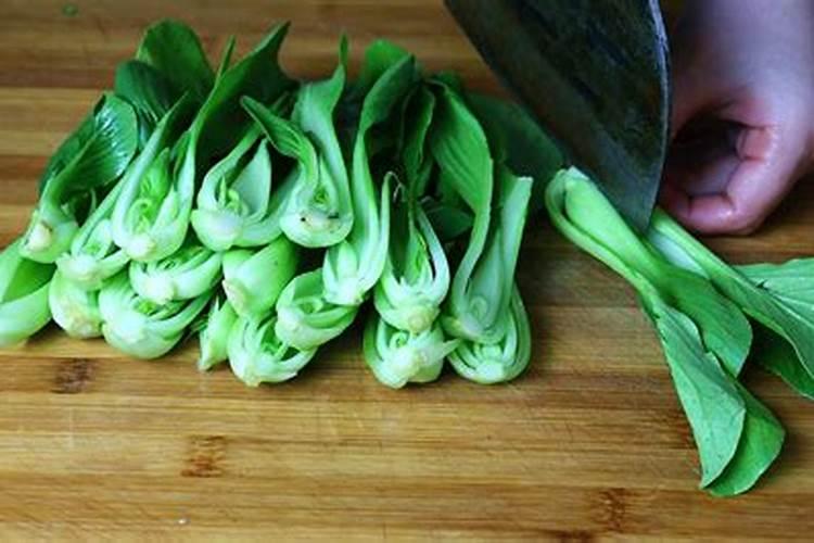 青菜施肥用复合还是尿素