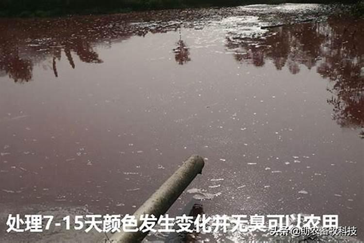 沼液对水生动物有什么作用