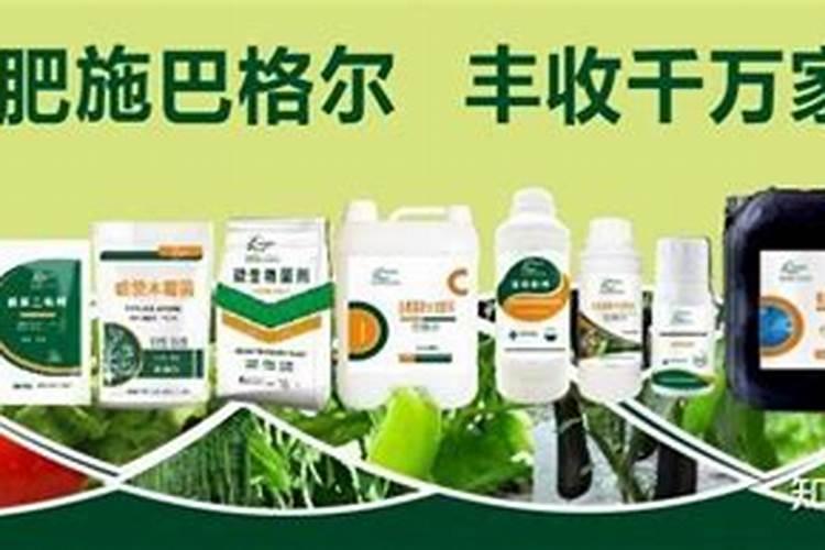 秋肥到底该如何选？高氮、平衡、高钾各有什么差别？