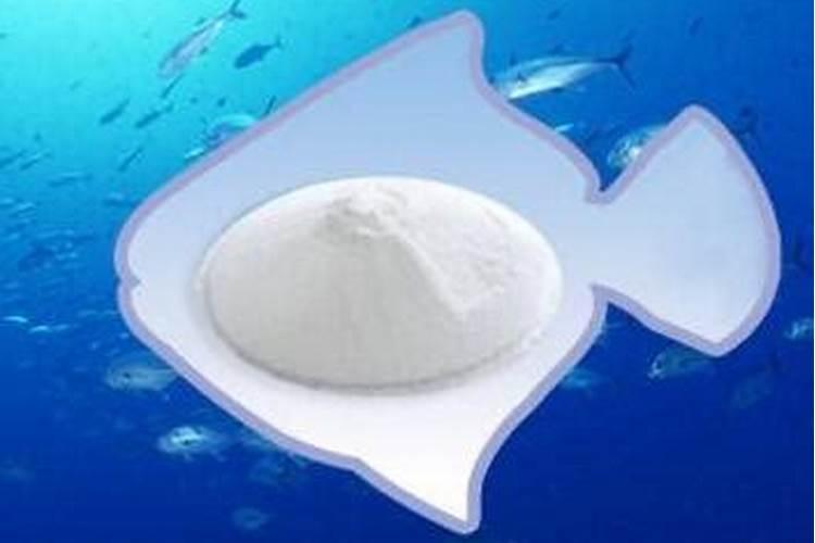 鱼蛋白叶面肥的五个最佳选择