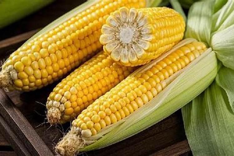 玉米叶面肥的最佳配方