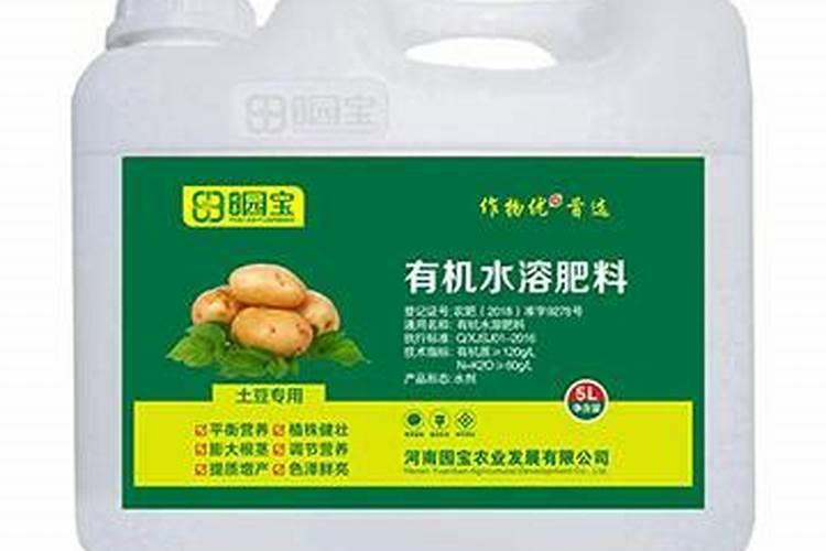 黄瓜花打顶怎么办