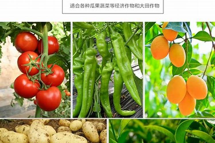 南方土豆如何施肥 南方土豆施肥时间和方法
