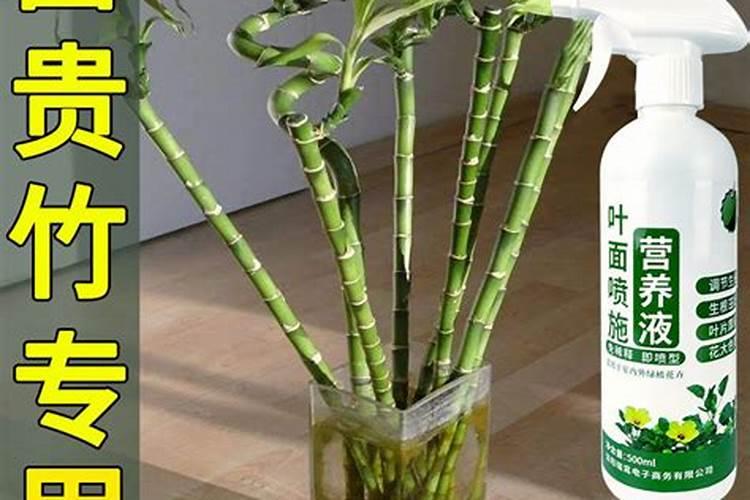 提子的种植及修剪施肥？