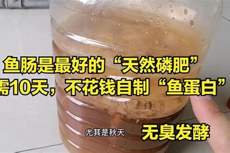 化肥和花肥的成份