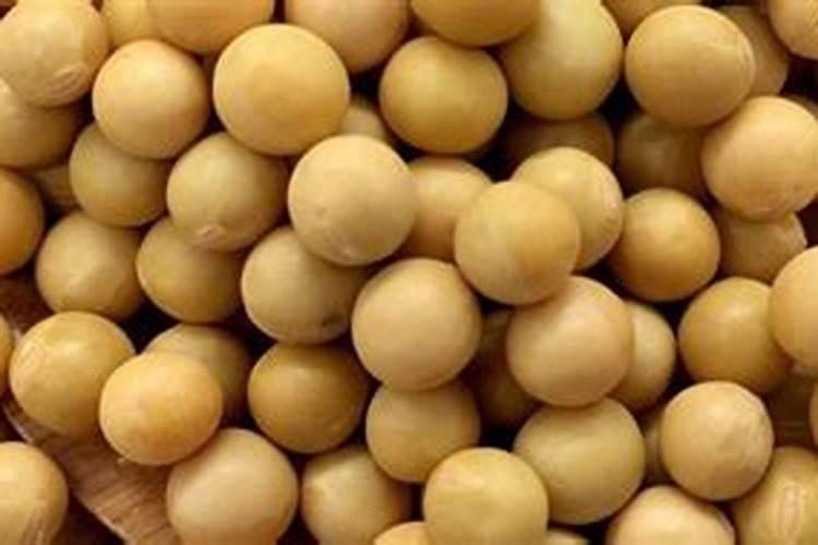 种黄豆一亩上多少二安多少钾肥多少尿素？