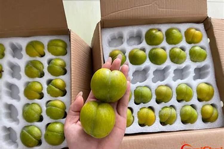蜂糖李保花保果在初花期可喷施防落素吗？