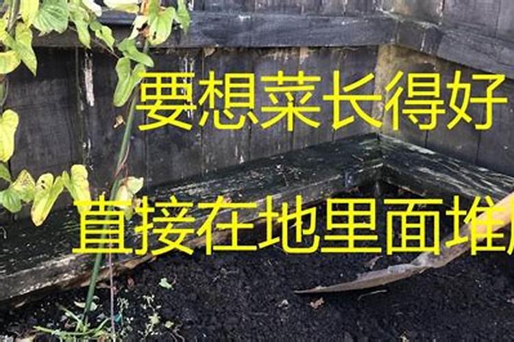 促进钾肥吸收需要用到哪些方法