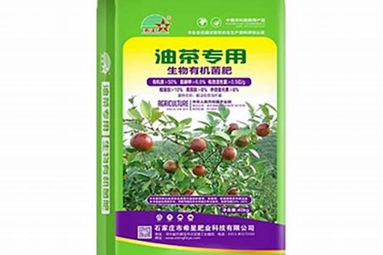 油茶树什么时候施肥