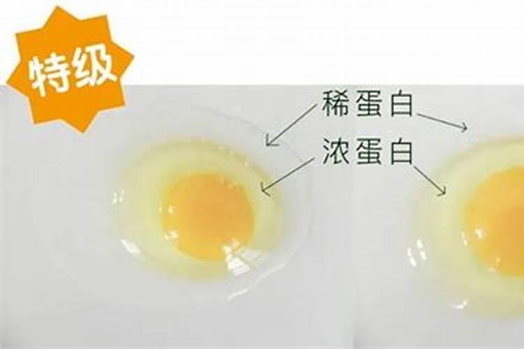 影响沃柑品质的因素？