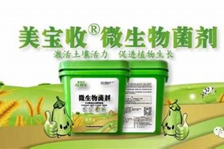 碳基微生物菌剂属于细菌还是真菌