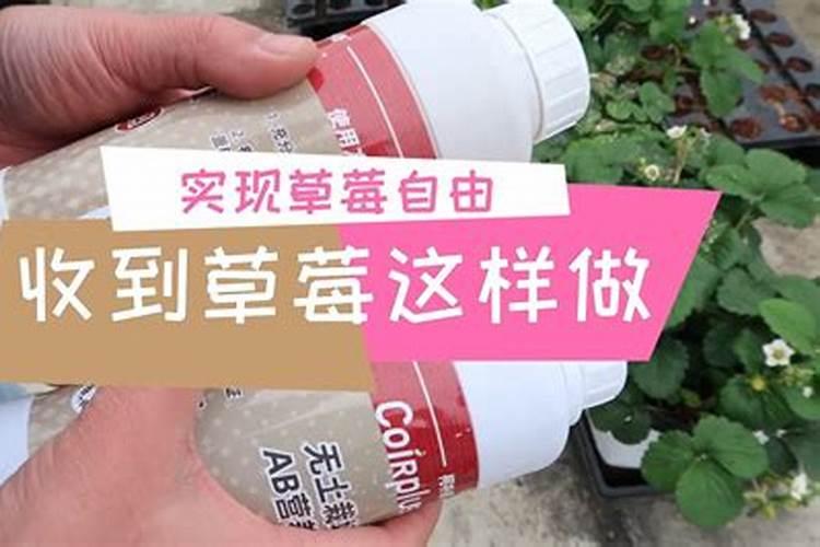 冻害的防患措施有哪些