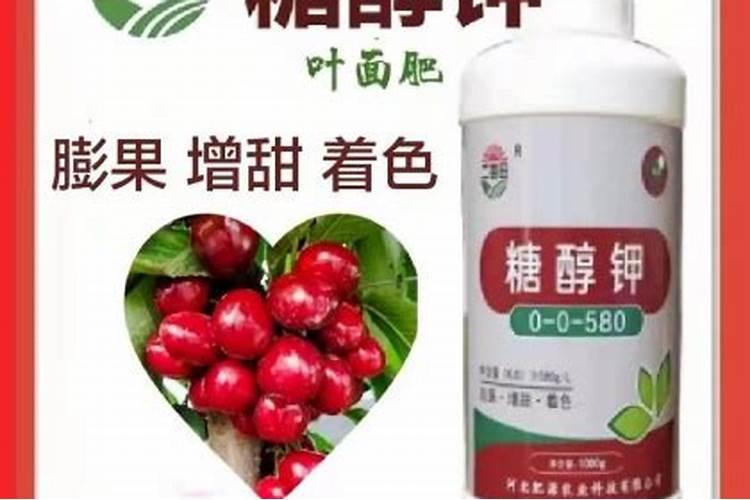 现在沙糖桔果子小要放什么肥？怎样施肥