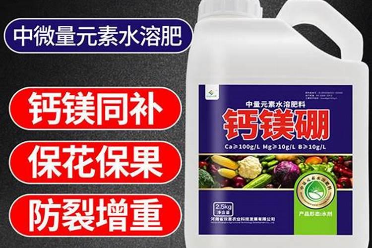 硼肥在什么时候喷施好