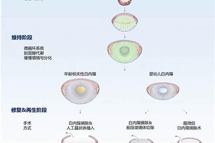 鱼身体里取出的晶体是什么？