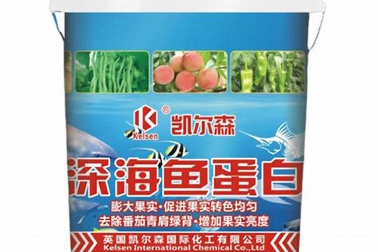 鱼蛋白概念股有哪些(开心模拟炒股)？鱼蛋白概念股名单